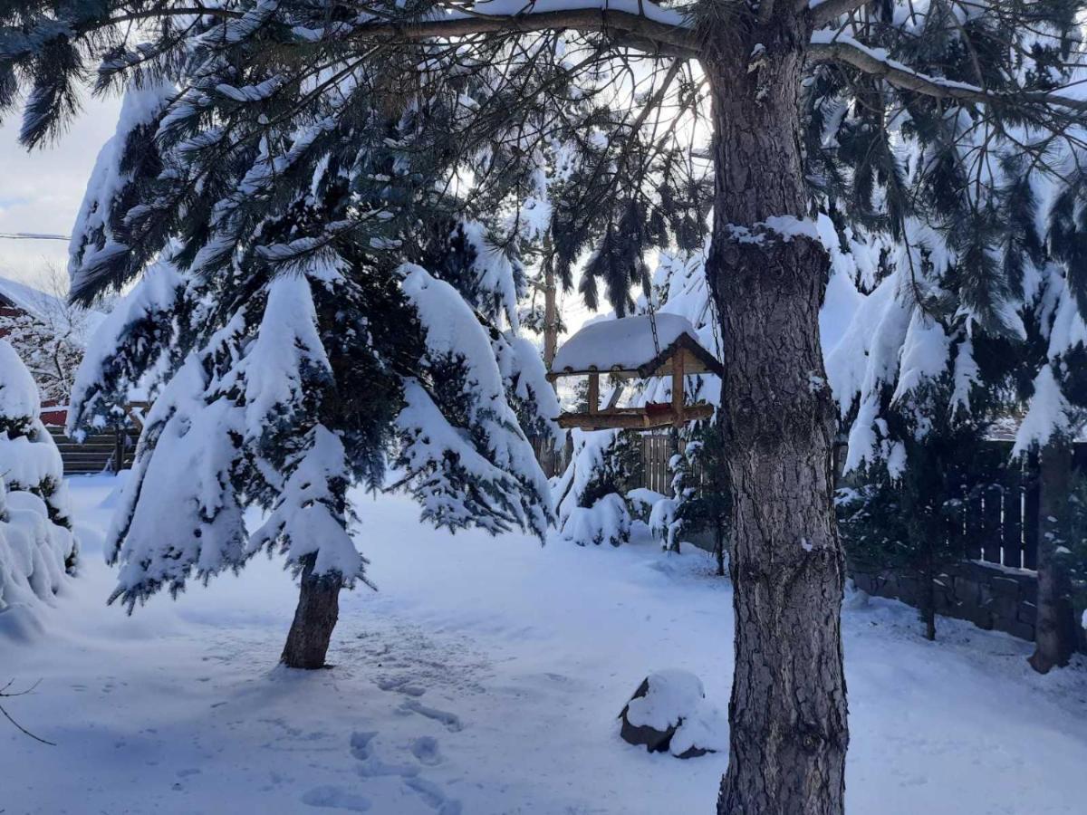 Sadyba Iryna Садиба Ірина Tukhlya Exterior foto