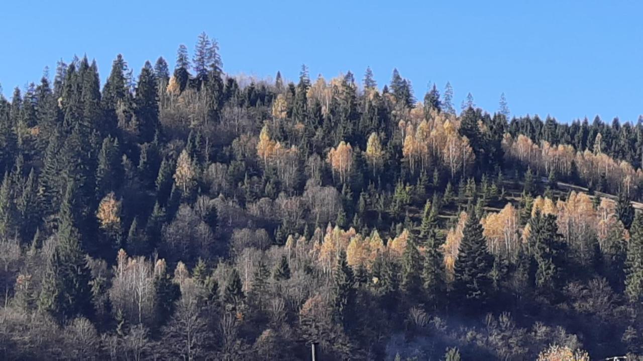 Sadyba Iryna Садиба Ірина Tukhlya Exterior foto