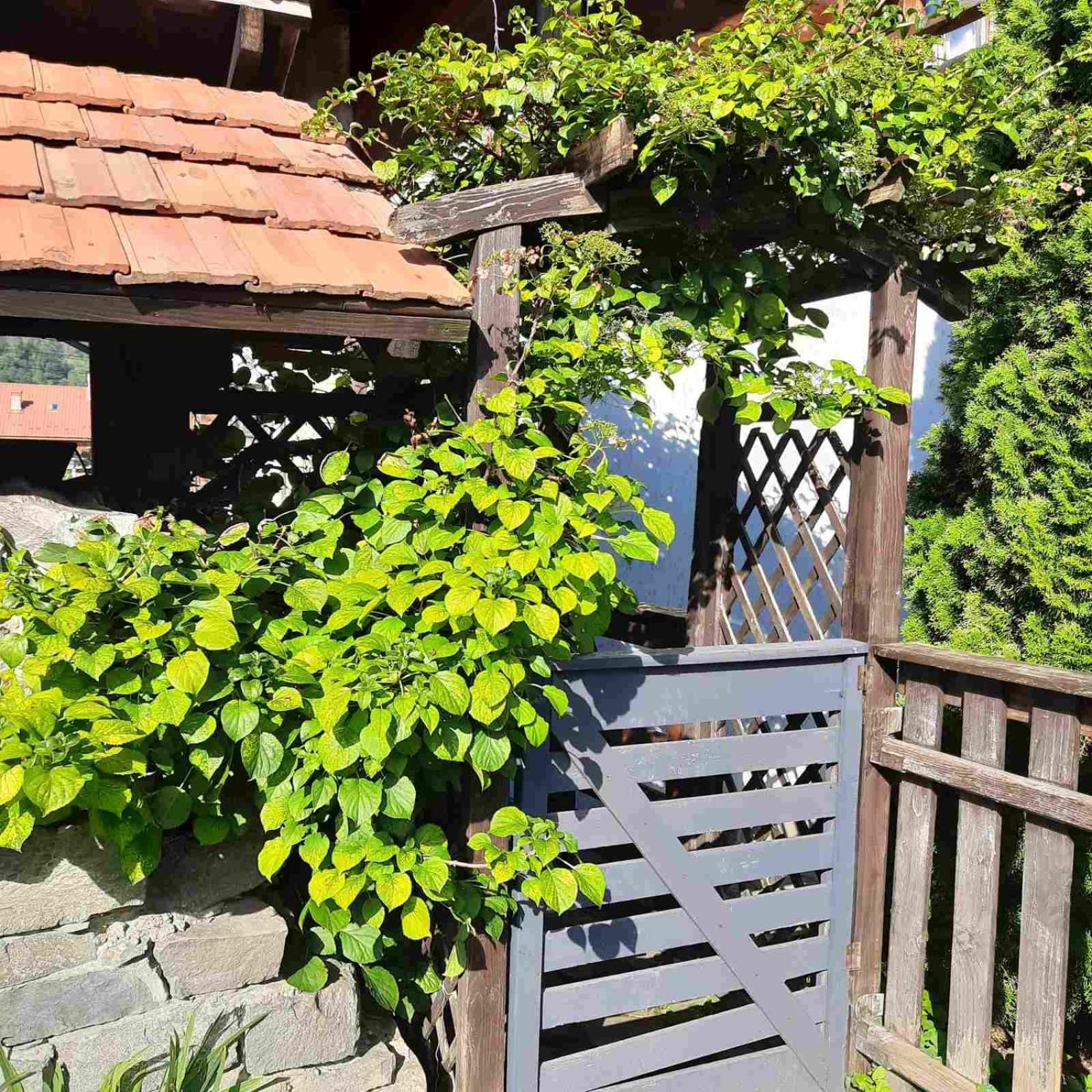Sadyba Iryna Садиба Ірина Tukhlya Exterior foto